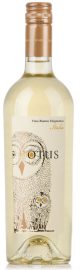 Asio Otus Chardonnay Sauvignon Blanc 