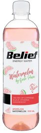 Belief Arbuus Plastikpudel | 0.53L