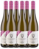 P.J. Valckenberg Riesling Trocken Rheinhessen 6 X 0,75l Kast 11.5% vol | Kast | 4.5L
