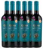 Michel Torino Cuma Malbec Organic 6 X 0,75l 13.5% vol | Kast | 4.5L