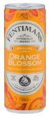 Fentimans Orange Blossom Lemonade 