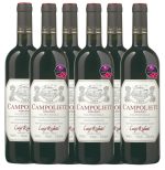 Luigi Righetti Campolieti Valpolicella Classico Ripasso Veneto 6 X 0,75l Kast 