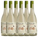Cono Sur Organic Sauvignon Blanc 6 X 0,75l Kast 